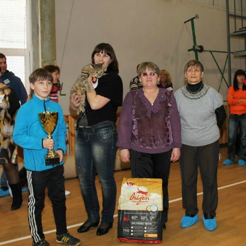 выставка в